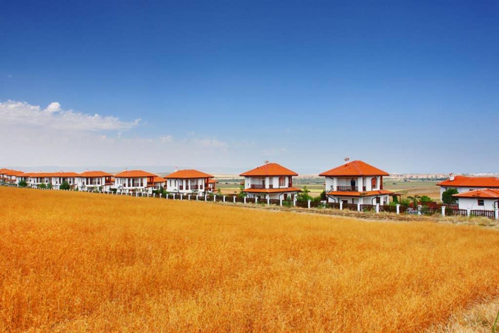 Generaator House Villa Aheloi Exterior foto